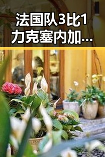 法国队3比1力克塞内加尔姆巴佩独中两元引热议，暴雨大暴雨区域将转移梅雨接力来袭引关注