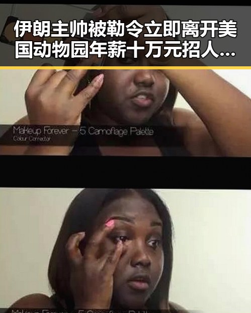伊朗主帅被勒令立即离开美国动物园年薪十万元招人扮黑熊引发反差争议